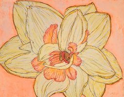 Daffodils-001