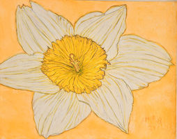 Daffodils-002