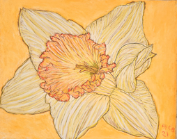 Daffodils-003