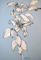 Flower Drawing