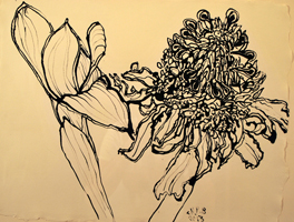 ginger flower, Punta Cana, 2013   16 x 21  inches  ink