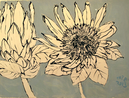 ginger flower , Punta Cana , 2013  16 x 21 i inches, ink