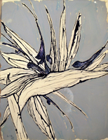 bird of paradise, St. Martin 2015 21 x 16  inches  ink and oil