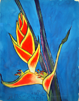 exotic flower, St. Martin, 2011, 21 x 16 inches, gouache
