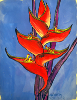  exotic flower, St. Martin, 2011, 21 x 16 inches, gouache