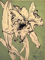 orchid, Paraty, 2009,  24 x 18 inches, ink and oil