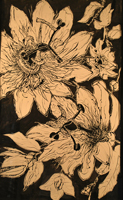 passion fruit flower,  Hadlyme, 2009,  52 x 30 inches, ink