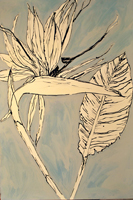 bird of paradise, St. Martin, 2015,  44 x 30 inches, ink and oil