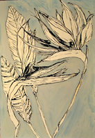 bird of paradise, St. Martin,  2015,  44 x 30 inches,  ink and oil