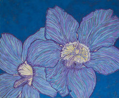 Fleur de Nenuphare, 32 x 43 inches, pastel on bugra paper, St. Martin 2017