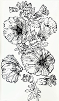 Hollyhocks 06