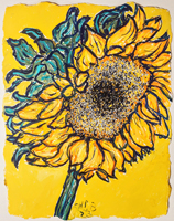 Sunflower 001