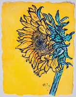 Sunflower 002