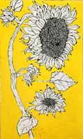 Sunflower 006