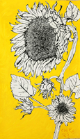 Sunflower 007