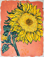 Sunflower 008