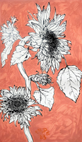 Sunflower 010