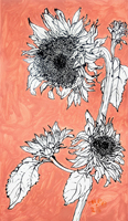 Sunflower 011