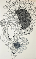 Sunflower 012