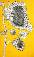 Sunflower 014