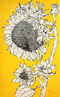 Sunflower 015