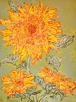 Sunflower 024