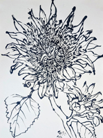 Sunflower 028